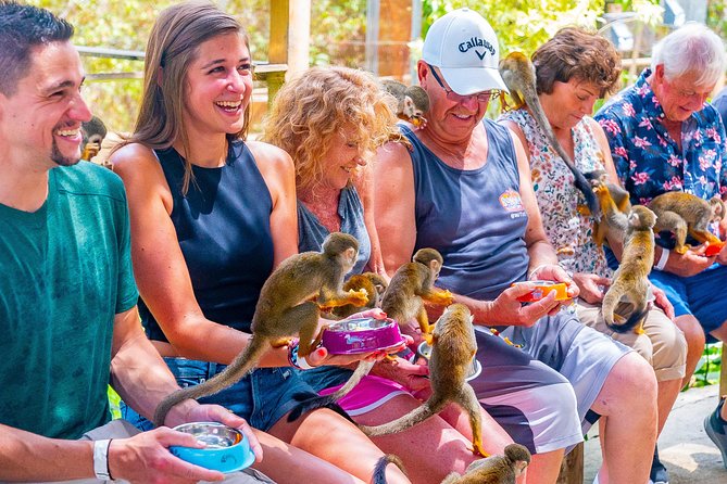 Monkeyland Puerto Plata - Key Points