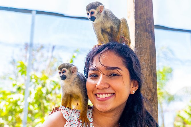 Monkeyland Puerto Plata - In Summary