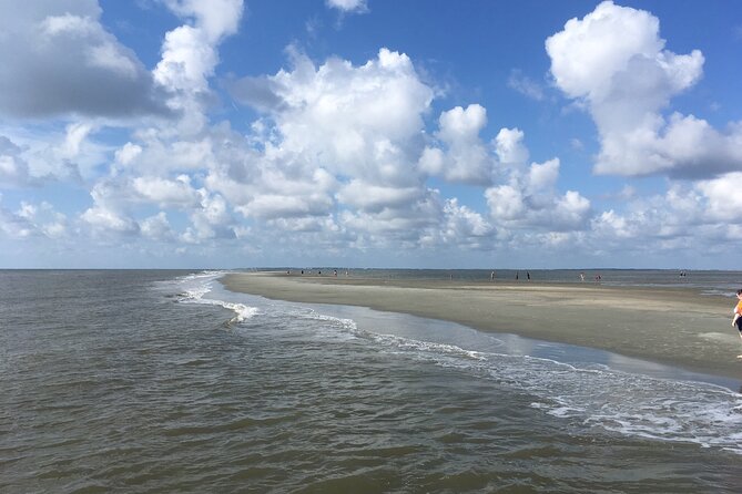 Vanishing Mile Isle Beachcomber Tour - A Deep Dive into the Experience