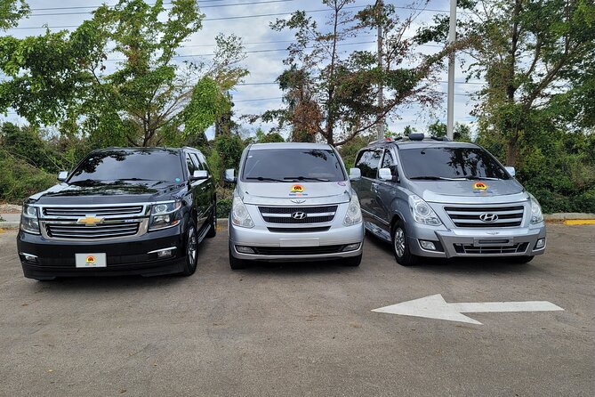 Uvero Alto Hotels to Punta Cana Airport > One Way - Why Choose This Transfer?