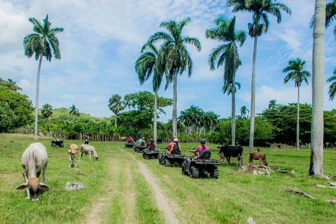 ATVs Fun Tour from Amber Cove and Taino Bay Puerto Plata - The Sum Up: Is This Tour Worth Your Time?