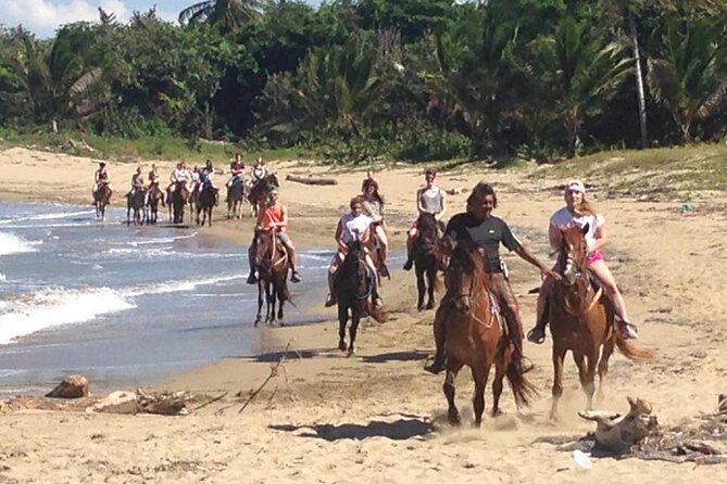 Horseback Ride Tour on the Beach in Puerto Plata - Who Should Consider This Tour?