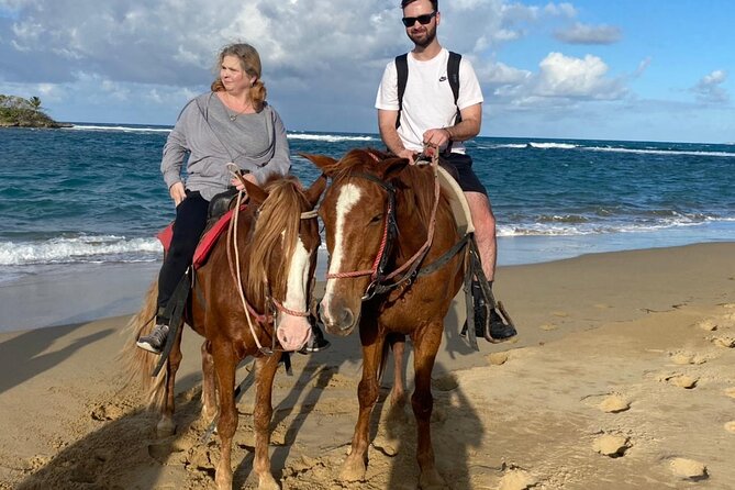 Horseback Ride Tour on the Beach in Puerto Plata - A Detailed Look at the Horseback Ride Tour in Puerto Plata