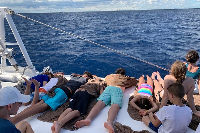 Saona Island Excursion by Catamaran and Speedboat (Full Day) - Who Should Consider This Tour?