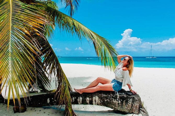 From Santo Domingo: Saona Island For Small Group Catamaran - Who Will Love This Tour?