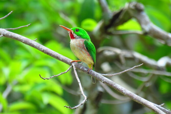 National Park of the East Private Hiking Tour with Swimming - Analyzing the Value