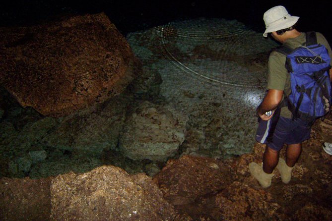 National Park of the East Private Hiking Tour with Swimming - Deep Dive into Each Stop