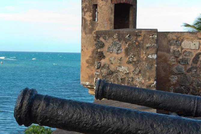 Amber cove Shore Excursion Puerto Plata - The Practical Side: What to Expect