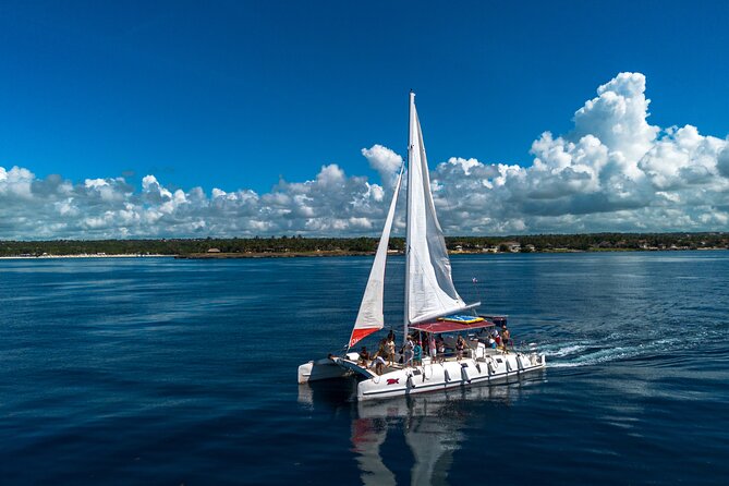 Catalina Island & Snorkeling Paradise From Punta Cana - Is It Worth the Price?