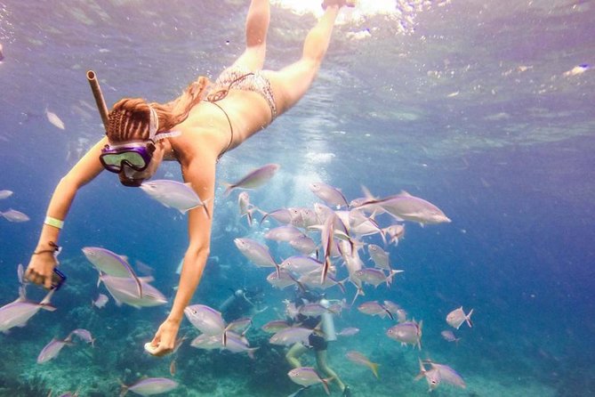 Catalina Island & Snorkeling Paradise From Punta Cana - Exploring Catalina Island & Snorkeling Paradise from Punta Cana