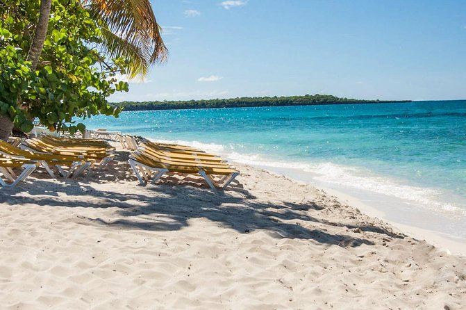 Full-Day Catalina Island Scuba Diving Tour from La Romana - Key Points