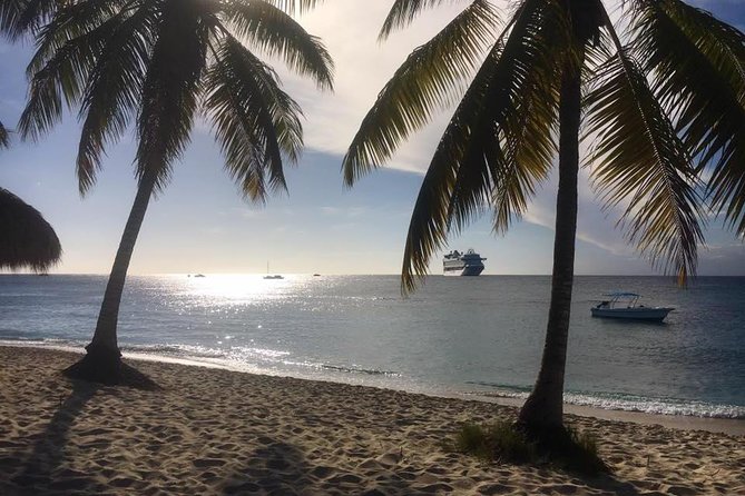 Full-Day Catalina Island Scuba Diving Tour from La Romana - FAQ