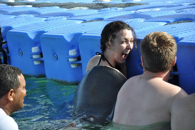 Private Caribbean Snorkeling Cruise At Punta Cana & Sharks, Stingray Encounter - Who Should Consider This Tour?