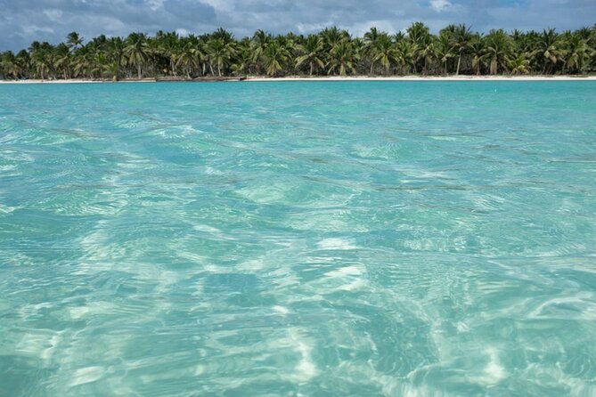 Tour in Saona Island from Santo Domingo - Key Points