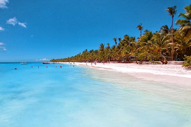 Tour in Saona Island from Santo Domingo - The Sum Up: Who Should Consider This Experience?