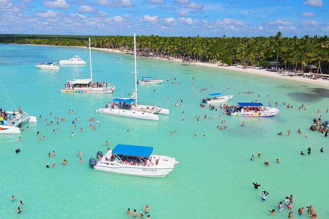 Saona Island Discovery - Is This Tour Right for You?