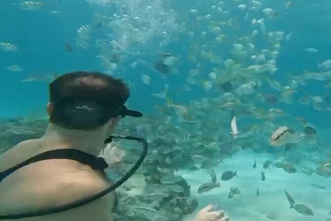 Punta Cana Party Cruise with Snorkeling, Hooka Diving and Parasailing - What Our Reviewers Say