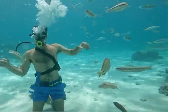 Punta Cana Party Cruise with Snorkeling, Hooka Diving and Parasailing - Exploring the Experience in Detail