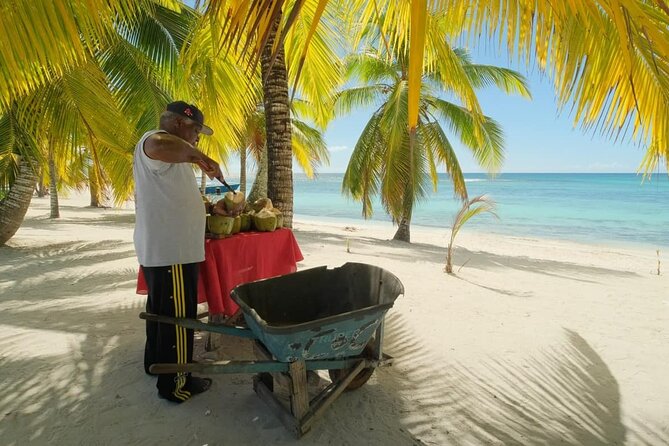 Punta Cana: Saona Island Catamaran Open Bar / Food Hotel Pickup - FAQ: Common Questions About the Saona Island Catamaran Tour