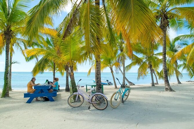 Punta Cana: Saona Island Catamaran Open Bar / Food Hotel Pickup - Punta Cana: Saona Island Catamaran Open Bar / Food Hotel Pickup — A Complete Adventure in the Caribbean