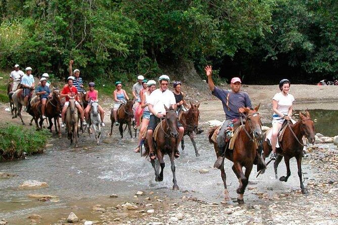 Amazing 3-Hour Horseback Riding at Puerto Plata with Pickup - A Detailed Look at the Horseback Riding Experience in Puerto Plata