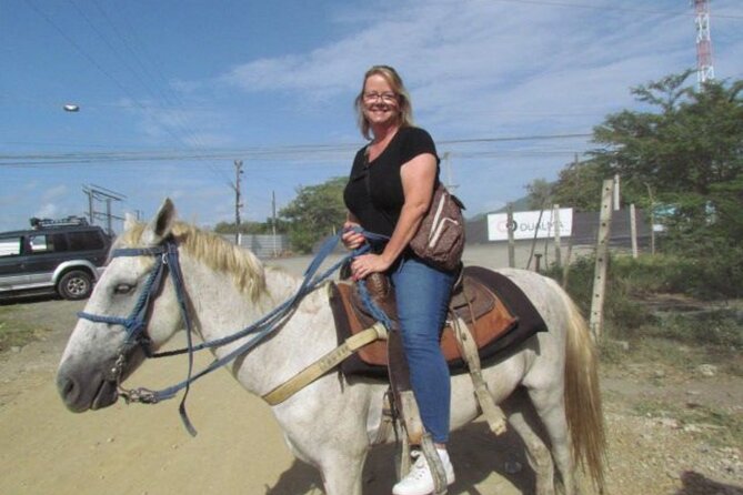 Amazing 3-Hour Horseback Riding at Puerto Plata with Pickup - FAQ