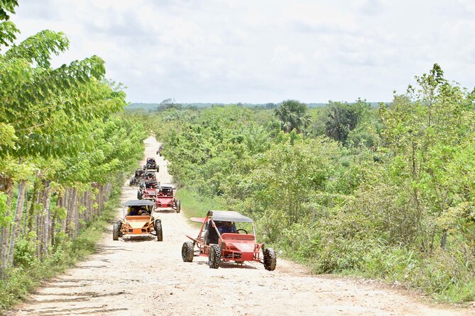 Punta Cana: Ecological Adventure in Buggies from Santo Domingo - Ideal for Who?