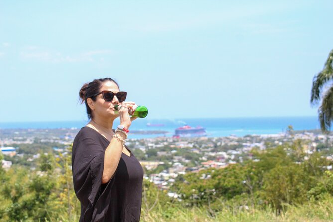 City Tour in Puerto Plata (Amber Cove, Taino Bay) - Who This Tour Suits Best