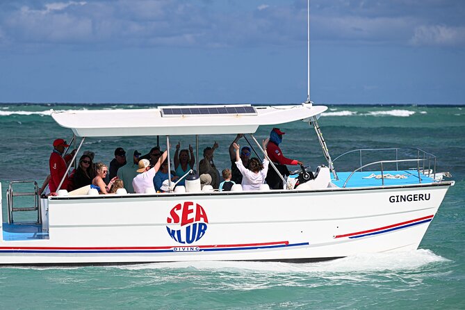 Snorkel trip + natural pool Bávaro - Who This Tour Is Best For