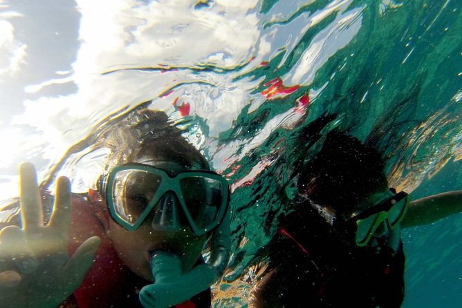 Snorkel trip + natural pool Bávaro - Snorkel trip + natural pool Bávaro — A Balanced Dive into the Dominican Republic’s Marine and Relaxation Scene