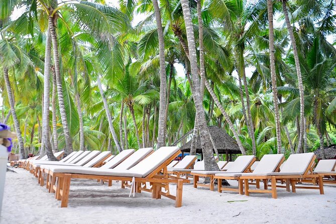 Saona Snorkel Private Cruise with Food and Drinks - Authenticity and Value