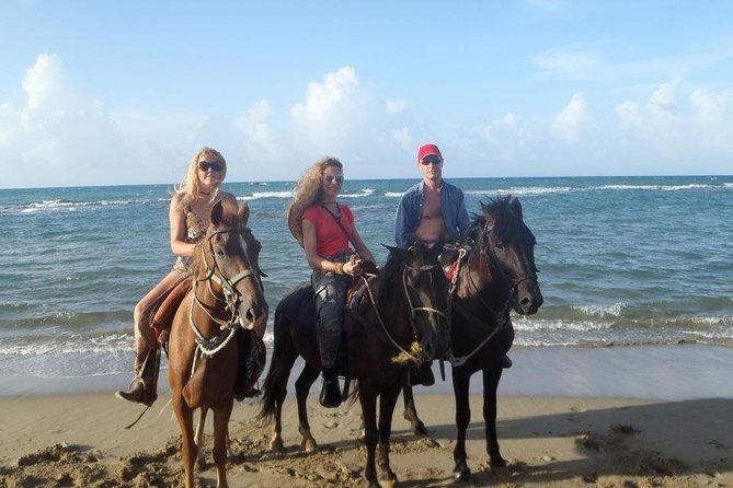 Beach Horseback Riding in Puerto Plata - A detailed look at the Beach Horseback Riding Tour in Puerto Plata