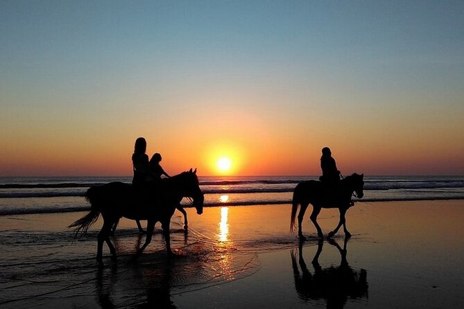 Sunset Horseback Riding in Puerto Plata - Key Points