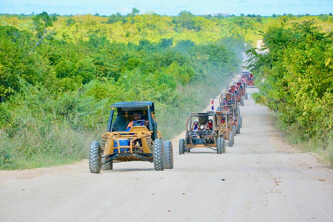 Family Buggy Adventure in Punta Cana  Up to 4 People per Vehicle - Authentic Traveler Insights