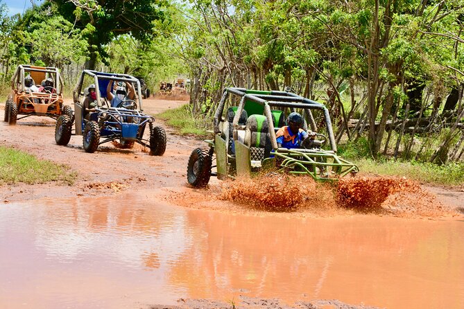 Family Buggy Adventure in Punta Cana  Up to 4 People per Vehicle - FAQ: Your Practical Questions Answered