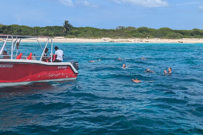 Catalina Island Day Tour  Explore the Jewel of the Caribbean - FAQ