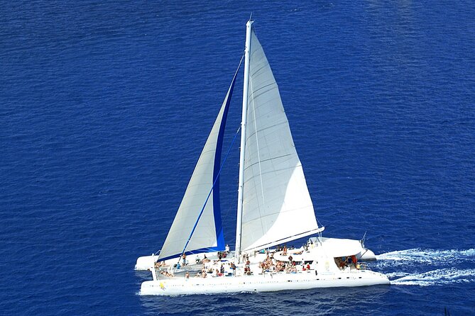 Full-Day Saona Island Tours All Inclusive - Who Should Consider This Tour?