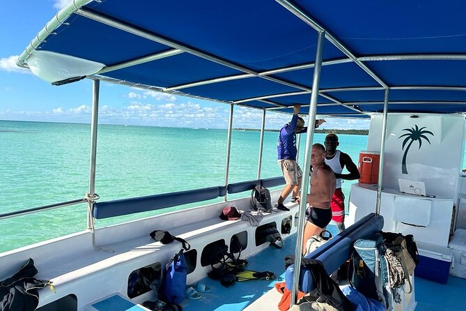 Saona Island for AIDA Passengers from La Romana Port - In-depth look at the itinerary