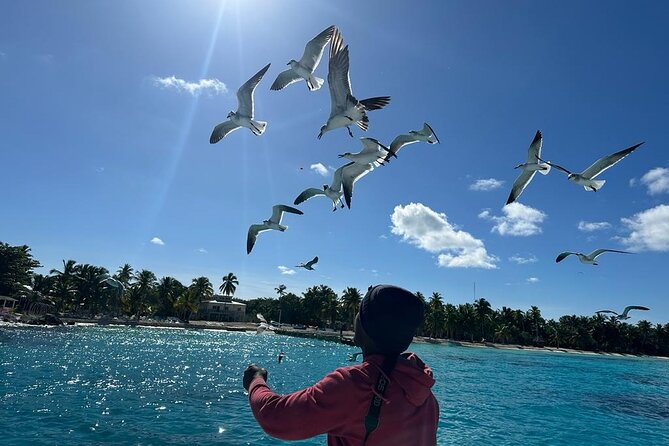 Saona Island for AIDA Passengers from La Romana Port - Final words