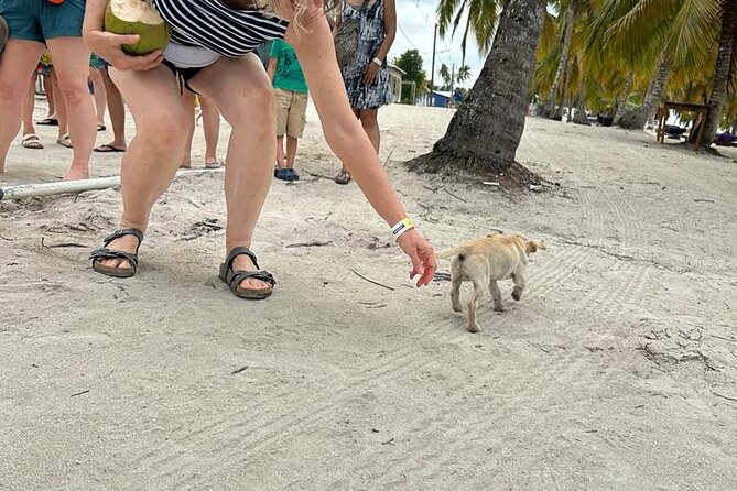 Saona Island for AIDA Passengers from La Romana Port - Final thoughts
