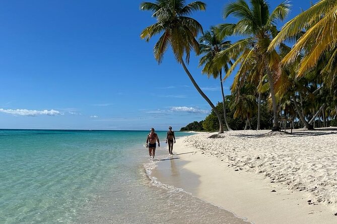 Saona Island for AIDA Passengers from La Romana Port - A practical guide to the Saona Island tour from La Romana