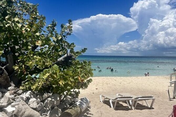 Fantastic Catalina island, beach and depth - What’s Included and What’s Not