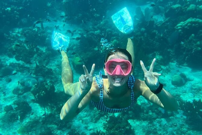 Fantastic Catalina island, beach and depth - Exploring the Itinerary in Detail