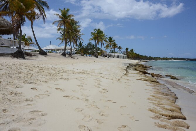 Fantastic Catalina island, beach and depth - The Sum Up