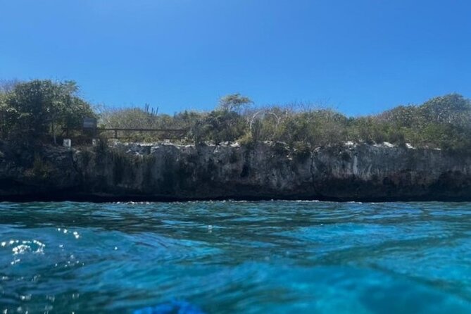 Fantastic Catalina island, beach and depth - Authentic Experiences and Traveler Insights