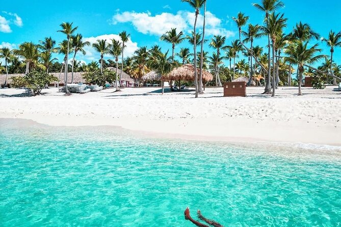 Fantastic Catalina island, beach and depth - Introduction: Why This Tour Stands Out