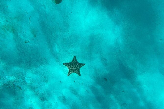 Mein Schiff from La Romana port: Catalina Island - Who Is This Tour Best For?