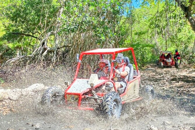 Amber Cove, Taino Bay Waterfalls and Buggy with Local Food Tour - An In-Depth Look at the Tour Experience