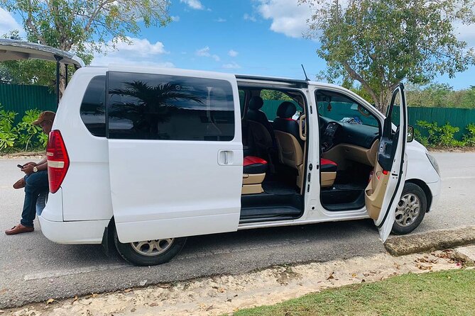 Private Transfer from Santo Domingo Airport to Bayahibe - A Comprehensive Look at the Private Transfer Experience