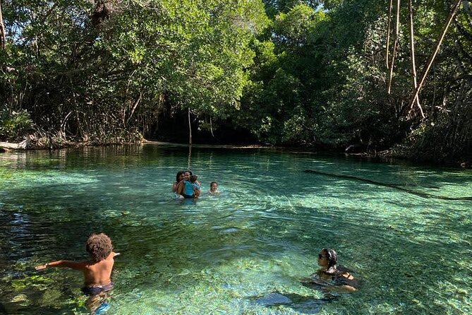 Oviedo Lagoon + Salado Stream, ALL INCLUSIVE, from Pedernales - Exploring the Details: What You Can Expect